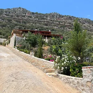 istlada-tas-ev.allantalyahotels.org/